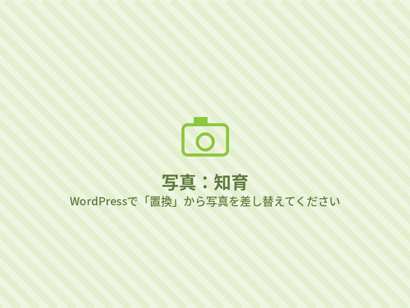 知育